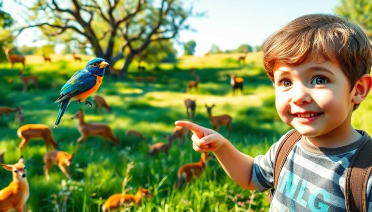 A child exploring wildlife at www.sudswild.com, captivated by a colorful bird in a sunny, vibrant landscape.