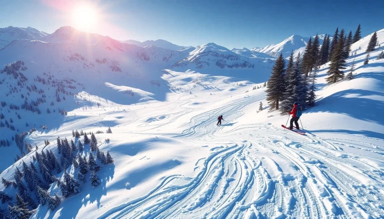 Creating a detailed ski map highlighting the snowy trails and mountain features.